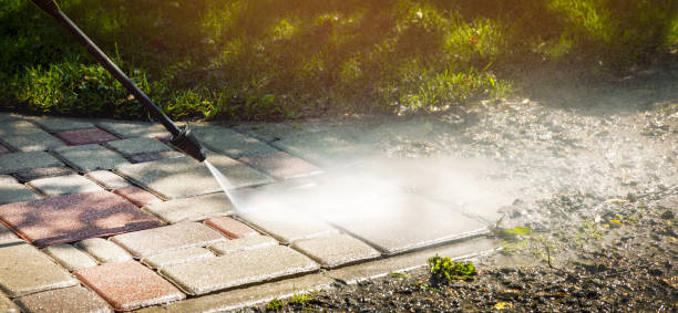 Best Animal Enclosure Cleaning  in Keene, TX